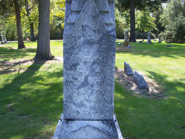 Susan Elizabeth Harmon Williams (1869-1956) - Find a Grave Memorial